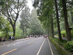 -青城山