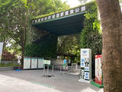 -华侨城湿地公园