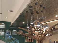 -飞行喵MR PILOT|猫舍·猫咖(静安大融城店)
