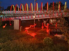 -大兴滨河森林公园