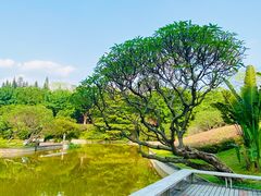 -广州雕塑公园