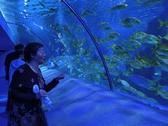 -太平洋海底世界