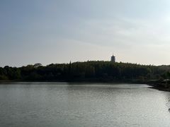 -宜兴龙背山森林公园