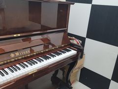 -谈·PIANO(金唐新光界店)