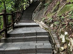 -铁山坪森林公园