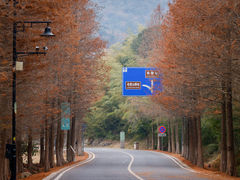 -南京市无想山景区