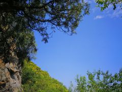 -北京鹫峰国家森林公园