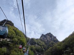 -王顺山国家森林公园