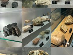 -甘肃地质博物馆