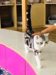 -萌宠亲子动物乐园(槐房万达店)