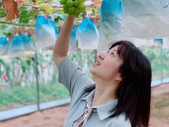 -海堤葡萄园中小学生研学基地