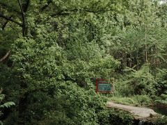 -素山寺森林公园