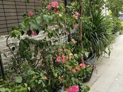 -江渔儿酸菜鱼(万科东荟城店)