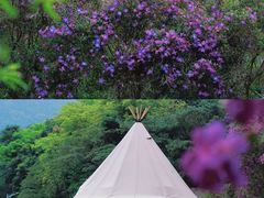 -广东罗浮山风景名胜区