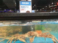 -盒马鲜生(曜一城店)