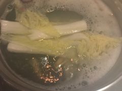 -伊人锅·魔石泡泡鱼