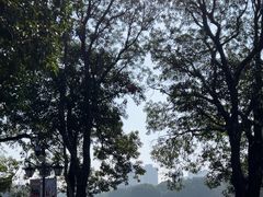 -西湖公园(鼓楼区)