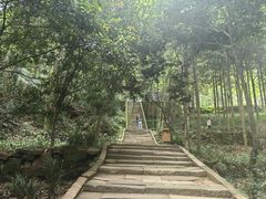 -青城山
