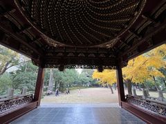 -汇龙潭