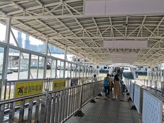 -武汉关码头(轮渡站)