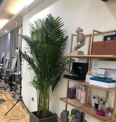 -涩谷· Hair Salon