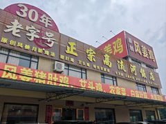 -正宗高流河饭店原创风姜鸡