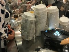 -油梨树 AVOCADO TREE(亮马桥店)
