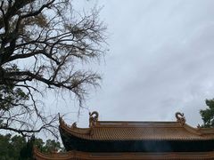 -普陀山风景名胜区-法雨禅寺