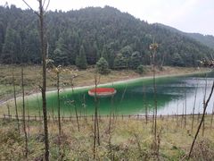 -武陵山森林公园