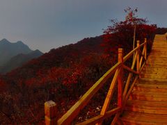 -水峪民俗村