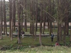 -麓湖高尔夫球俱乐部