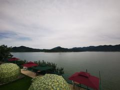 -望湖烤鱼