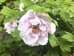 -君庭中餐厅(友谊宾馆店)