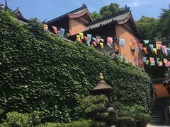 -鸡鸣赐茶(鸡鸣寺路店)