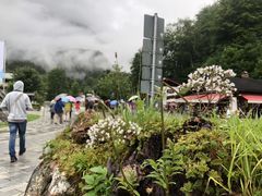 -柯尼希湖