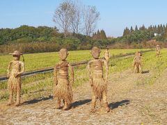 -嘉北郊野公园