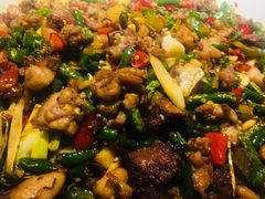 尖椒兔-新概念来凤鱼(璧山店)