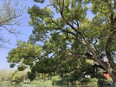 -西溪国家湿地公园