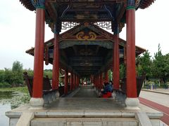 -洛龙公园