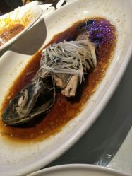 -成都世外桃源酒店-宴会厅·草坪婚礼·会议活动