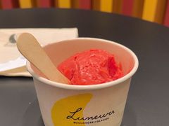-LUNEURS月乐诗·法式冰淇淋(北外滩来福士广场店)