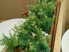 -华莱士·炸鸡汉堡(奥林花园店)