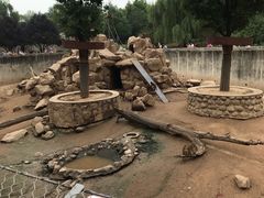 -西安秦岭野生动物园