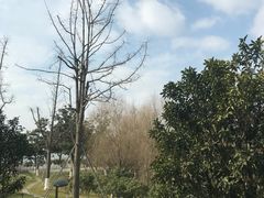 -阳澄湖费尔蒙酒店