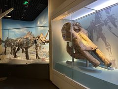 -国家自然博物馆