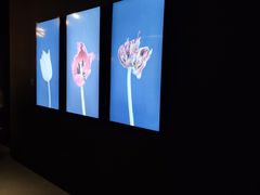 -上海当代艺术博物馆