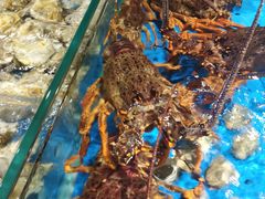 水产区-徐记海鲜(观沙岭|滨江新城店)