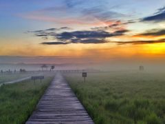 -塞罕坝国家级自然保护区