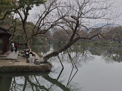 -杭州西湖柳莺里酒店