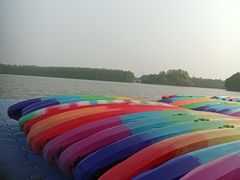 -上海海湾国家森林公园